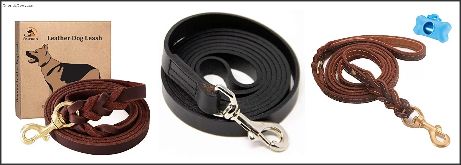 Best Leather Dog Leash