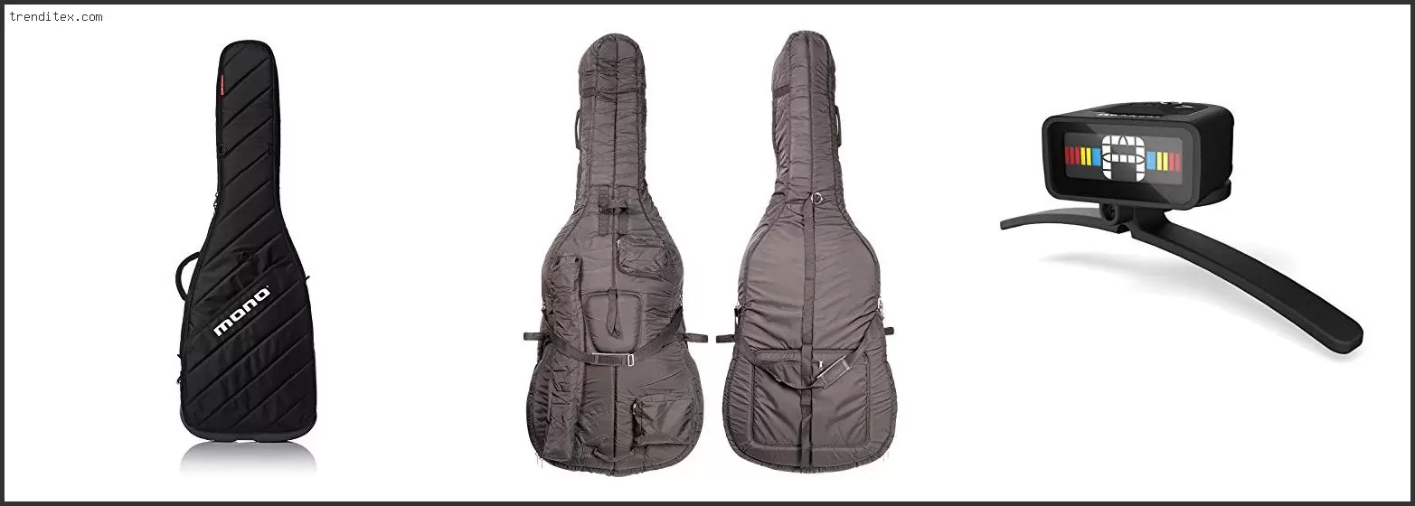 Best Upright Bass Gig Bag