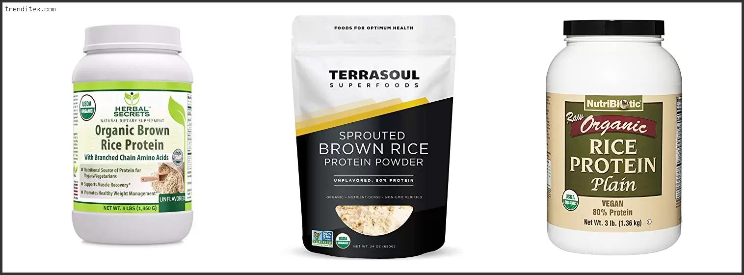 Best Organic Rice Protein Powder