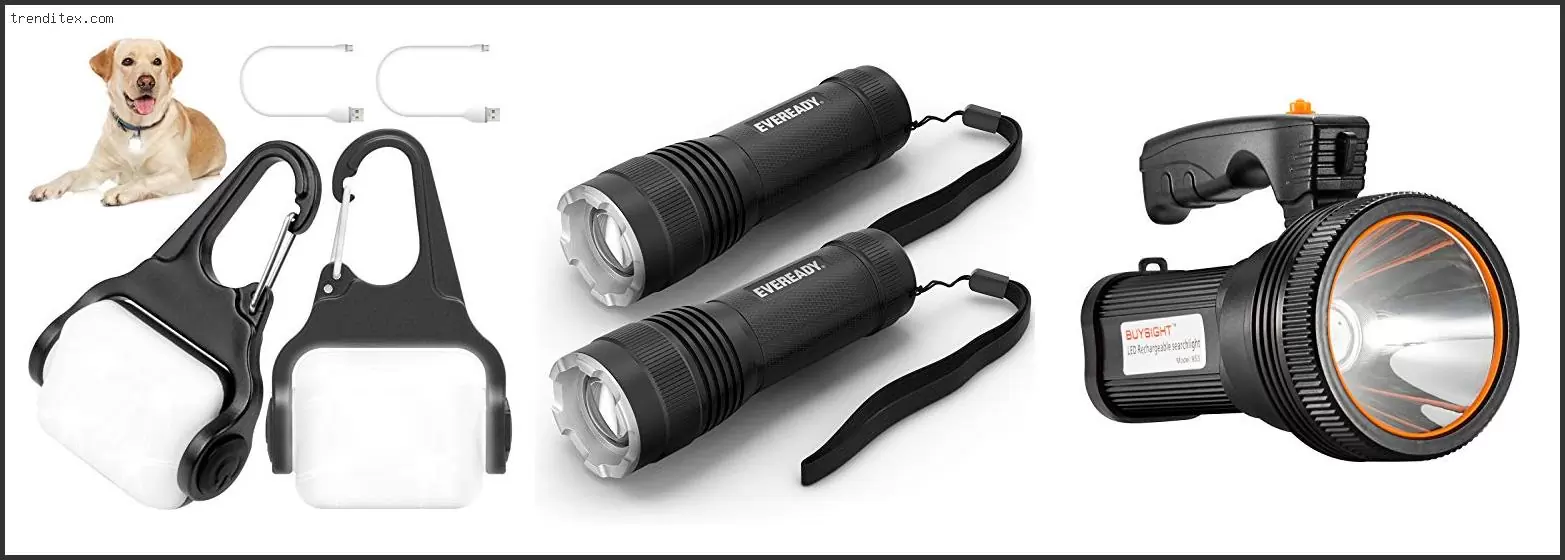 Best Flashlight For Dog Walking
