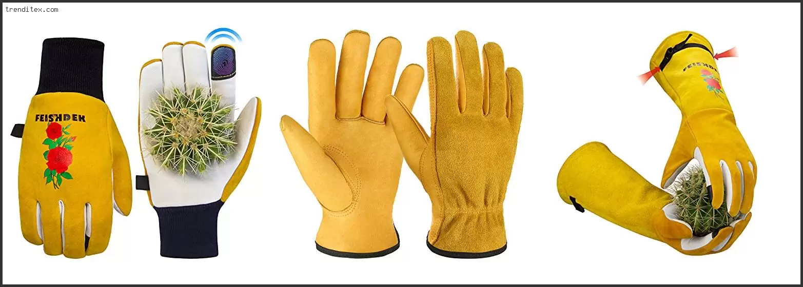 Best Work Gloves For Cactus