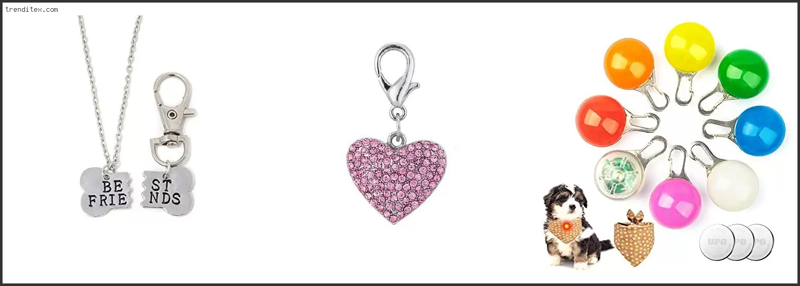 Best Friend Dog Collar Charm