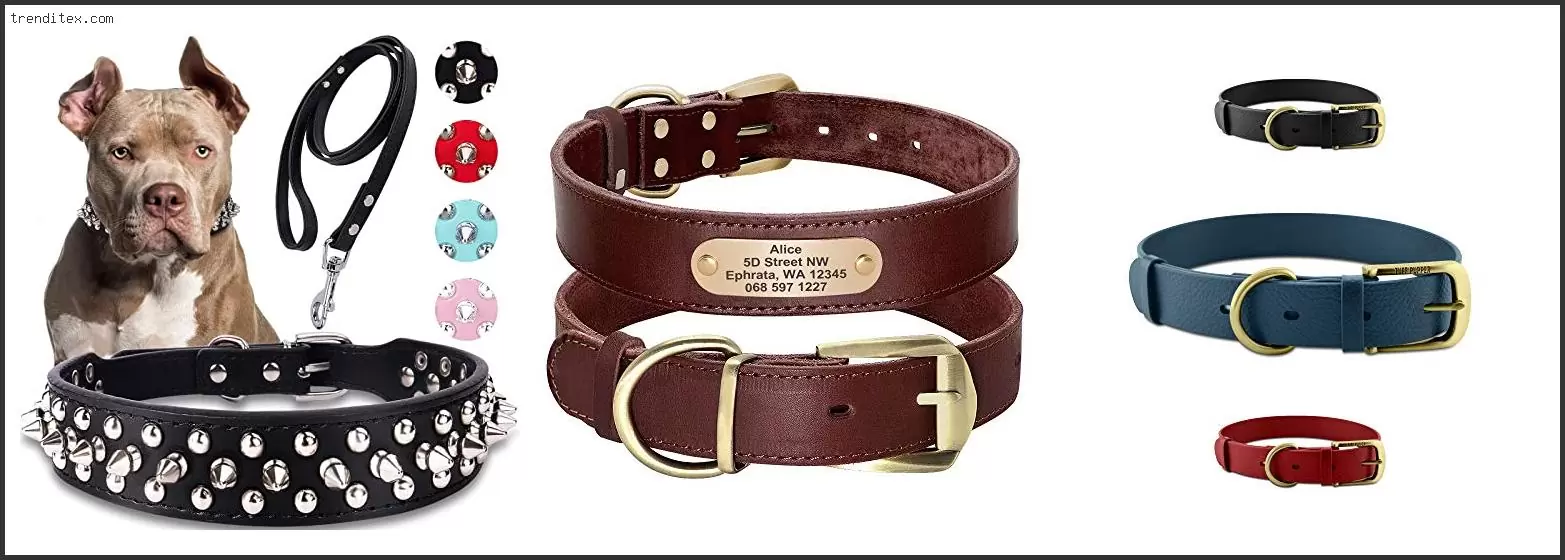 Best Leather Dog Collar