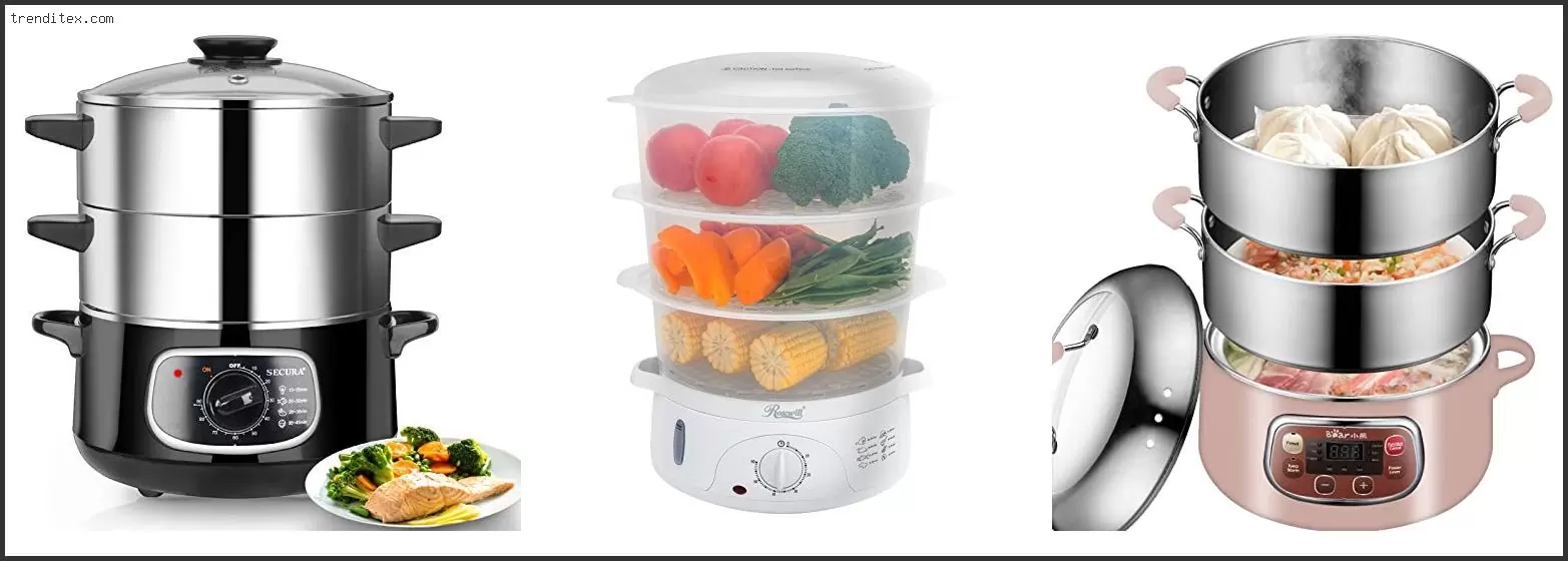 Best Electric Food Steamer