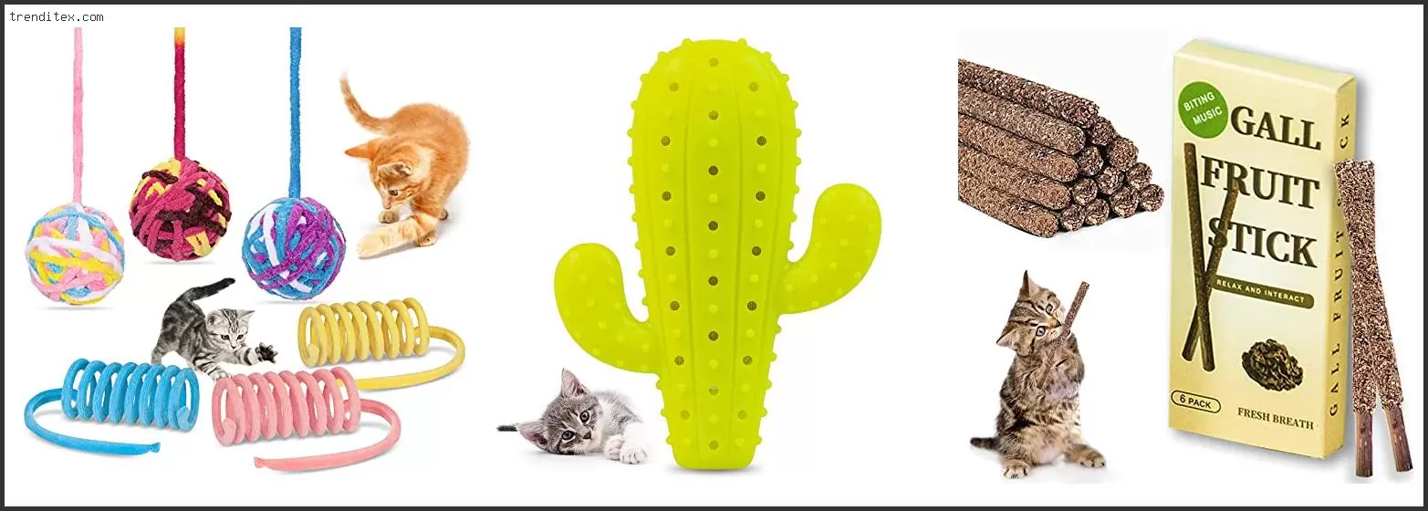 Best Chew Toy For Kittens