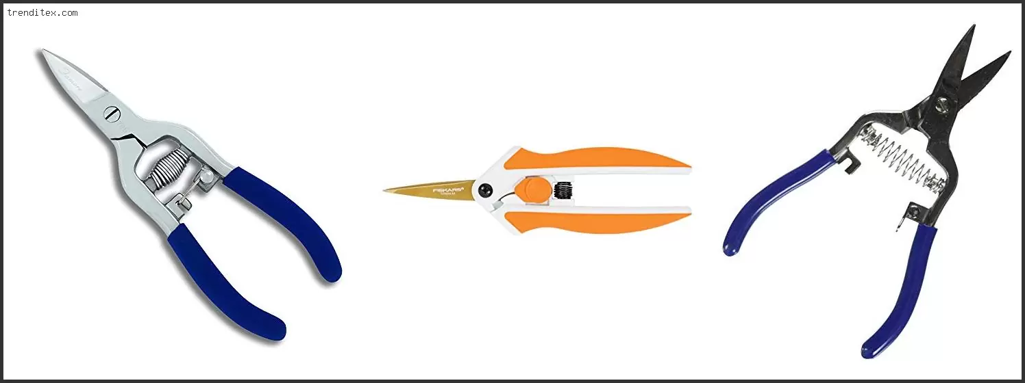 Best Scissors For Rag Quilts