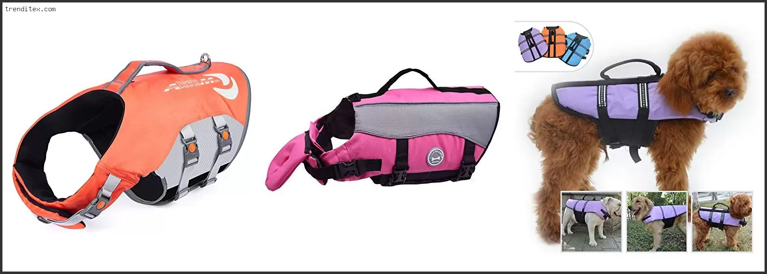 Best Life Jacket For German Shepherd