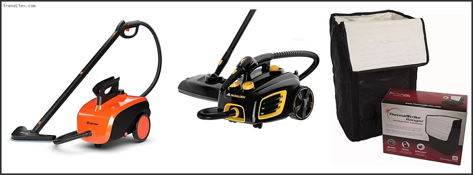Best Bed Bug Steamer