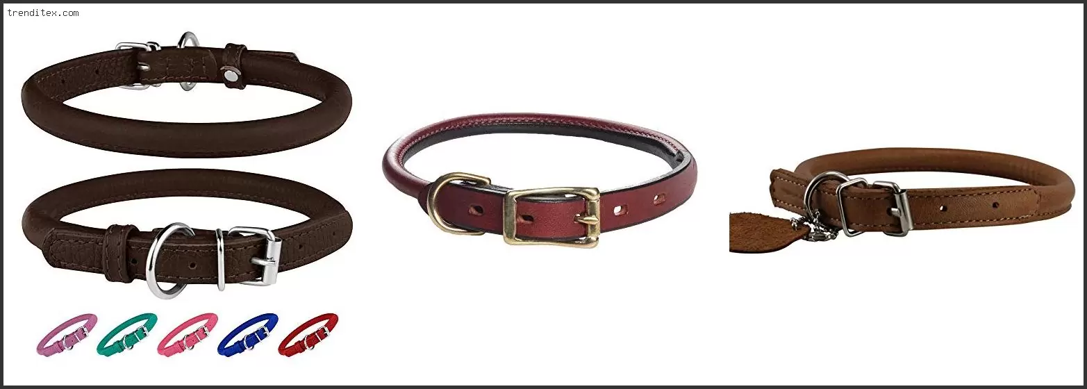 Best Rolled Leather Dog Collar