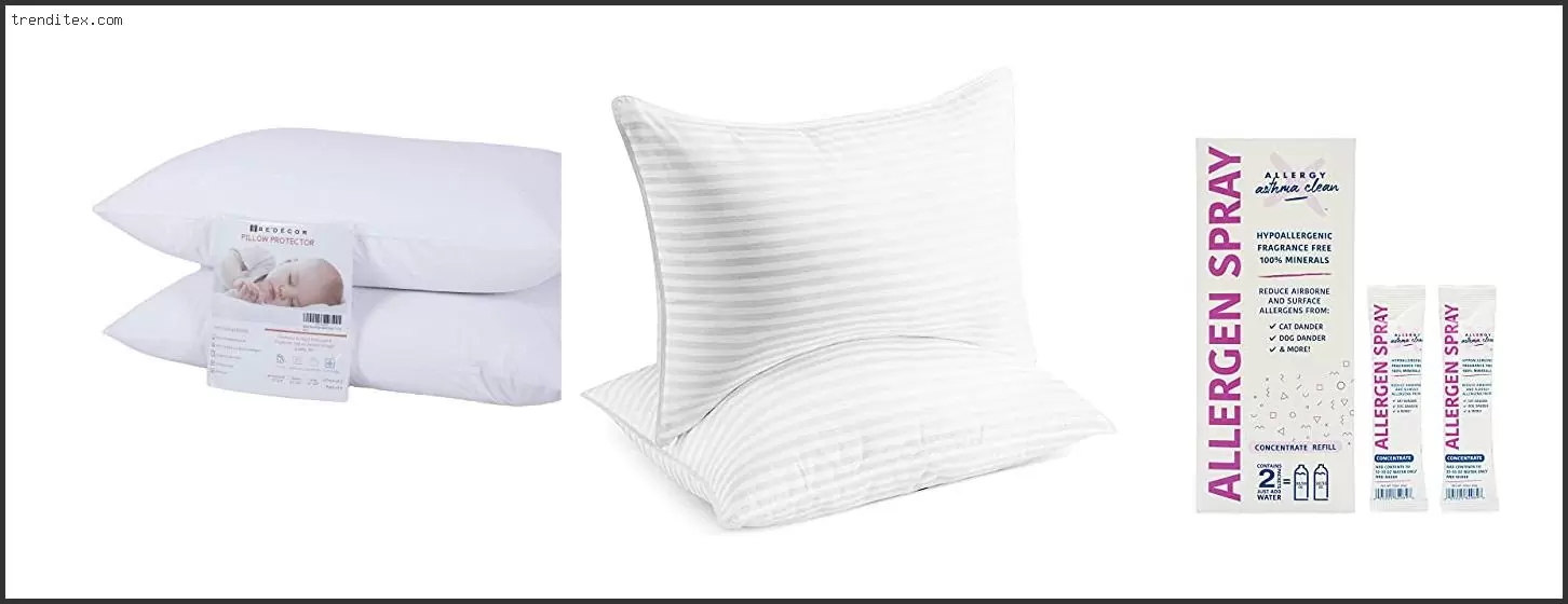 Best Pillow For Allergies And Asthma