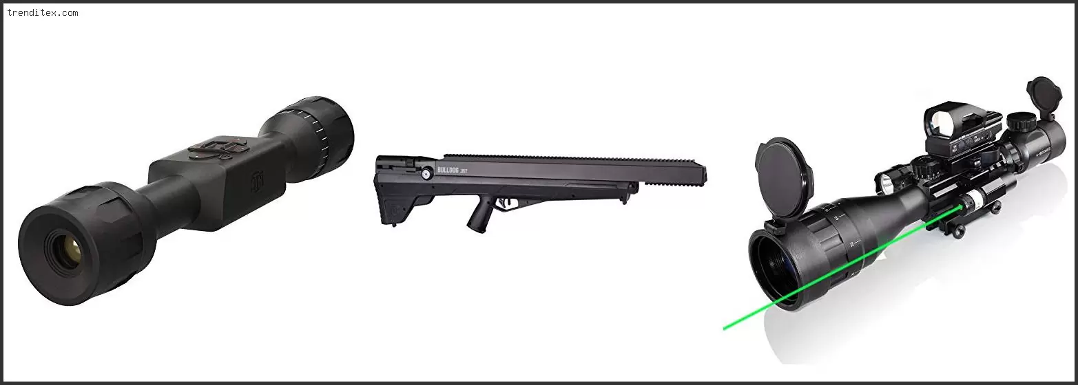 Top 10 Best Scope Mount For Benjamin 392 [2024] | Trendy Picks