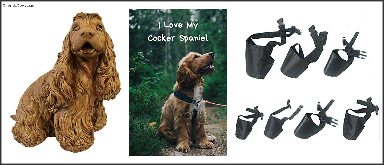 Top 10 Best Muzzle For Cocker Spaniel [2022] Trendy Picks