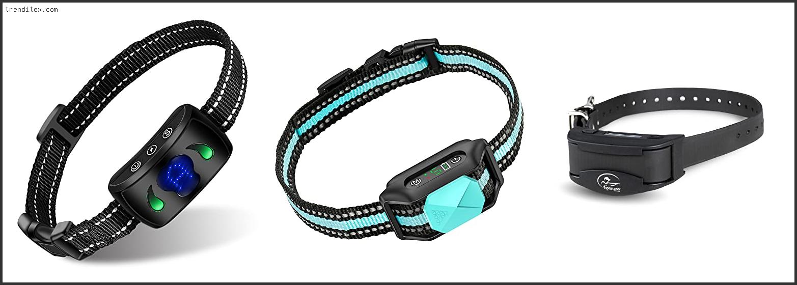 Top 10 Best No Bark Collar For German Shepherd [2022] Trendy Picks