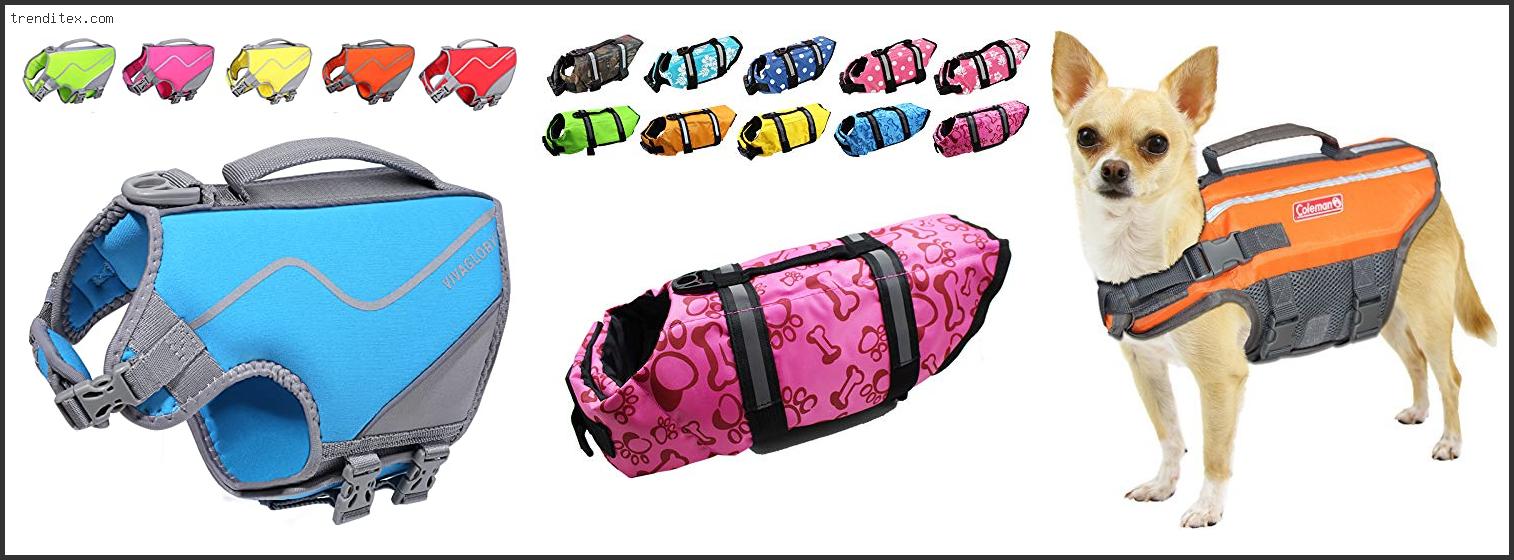 top-10-best-cat-life-jacket-2022-trendy-picks